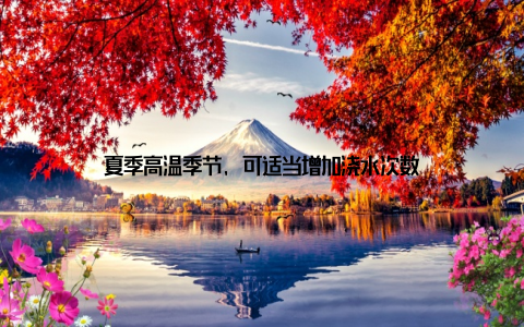 夏季高温季节, 可适当增加浇水次数