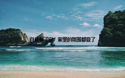 自从有了它, 家里的氛围都变了