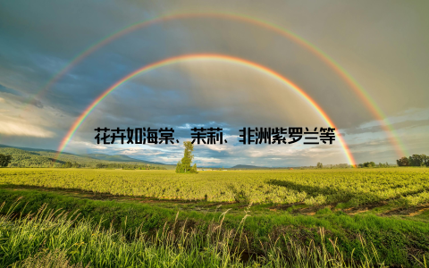 花卉如海棠、茉莉、非洲紫罗兰等