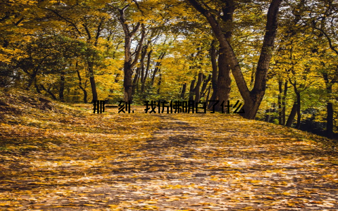 那一刻, 我仿佛明白了什么