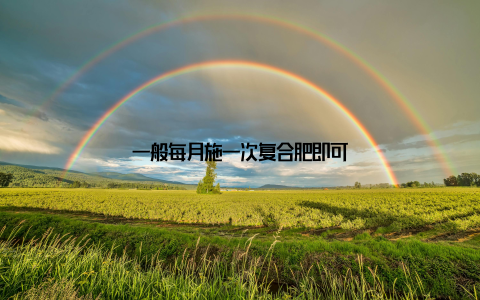 一般每月施一次复合肥即可